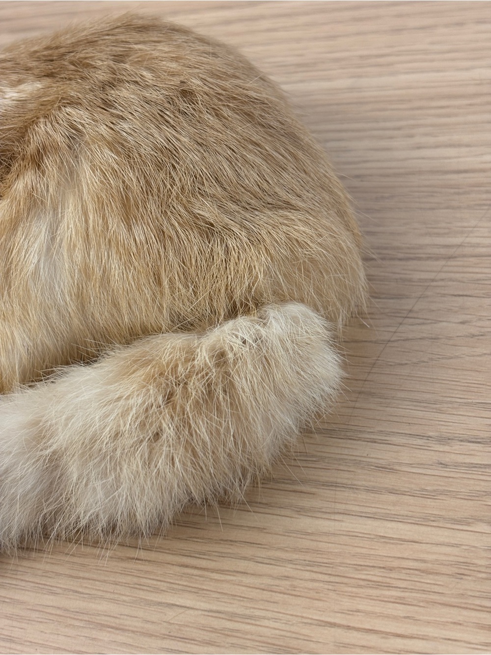 Realistic Sleeping Soft Faux Fur Kitten Figurine - Ginger & White - Picture 4 of 8